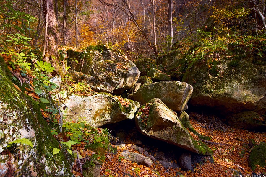 Über meine Stone River.