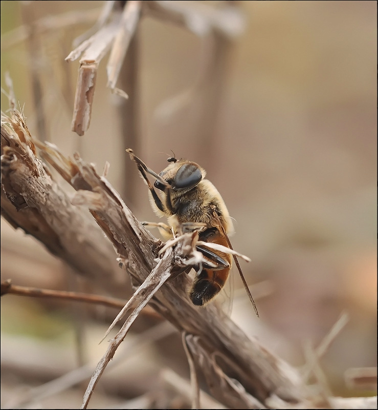 Ja, das ist Winter kommt ...