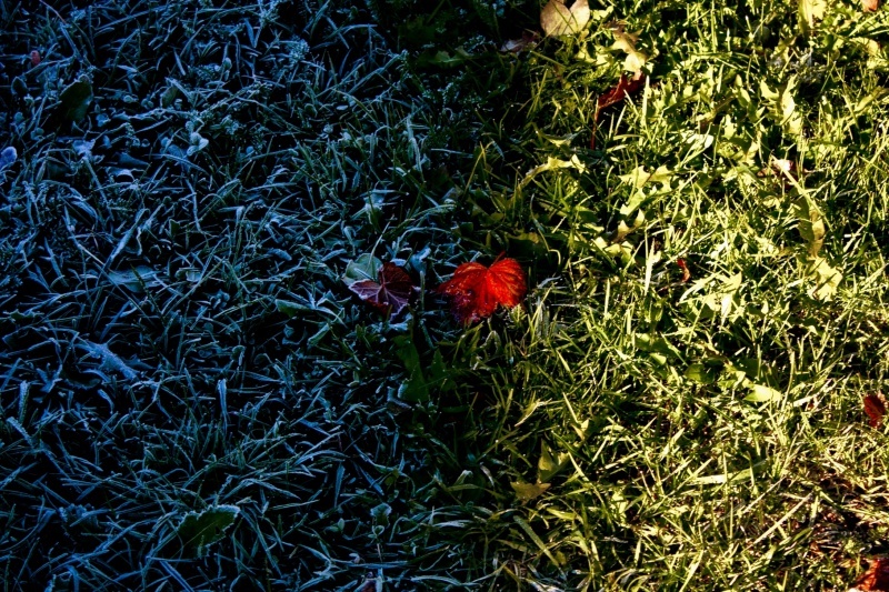 Winter Krieges und dem Fall