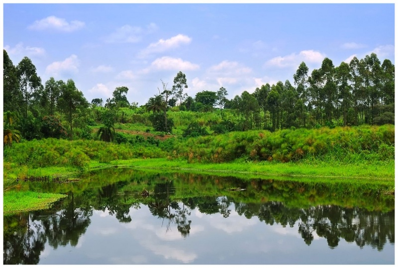 Afrikanische Landschaft