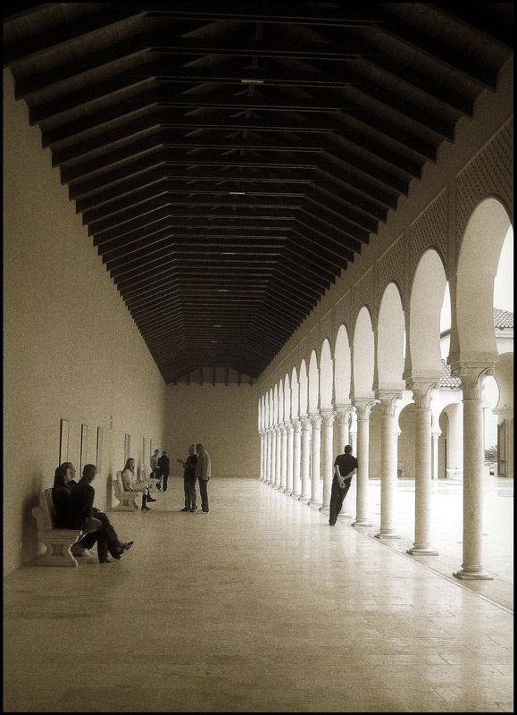 das übergreifende Perspektive