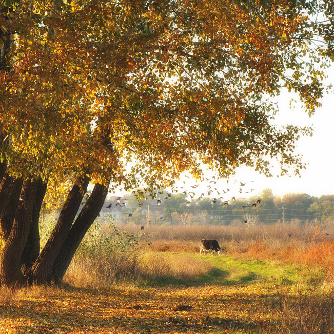 Ein warmer Tag im Herbst