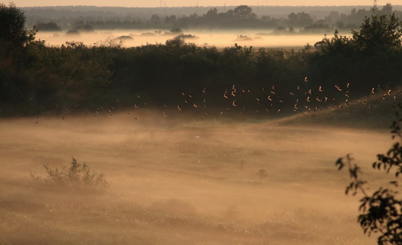 Morgen von einem Sommertag.