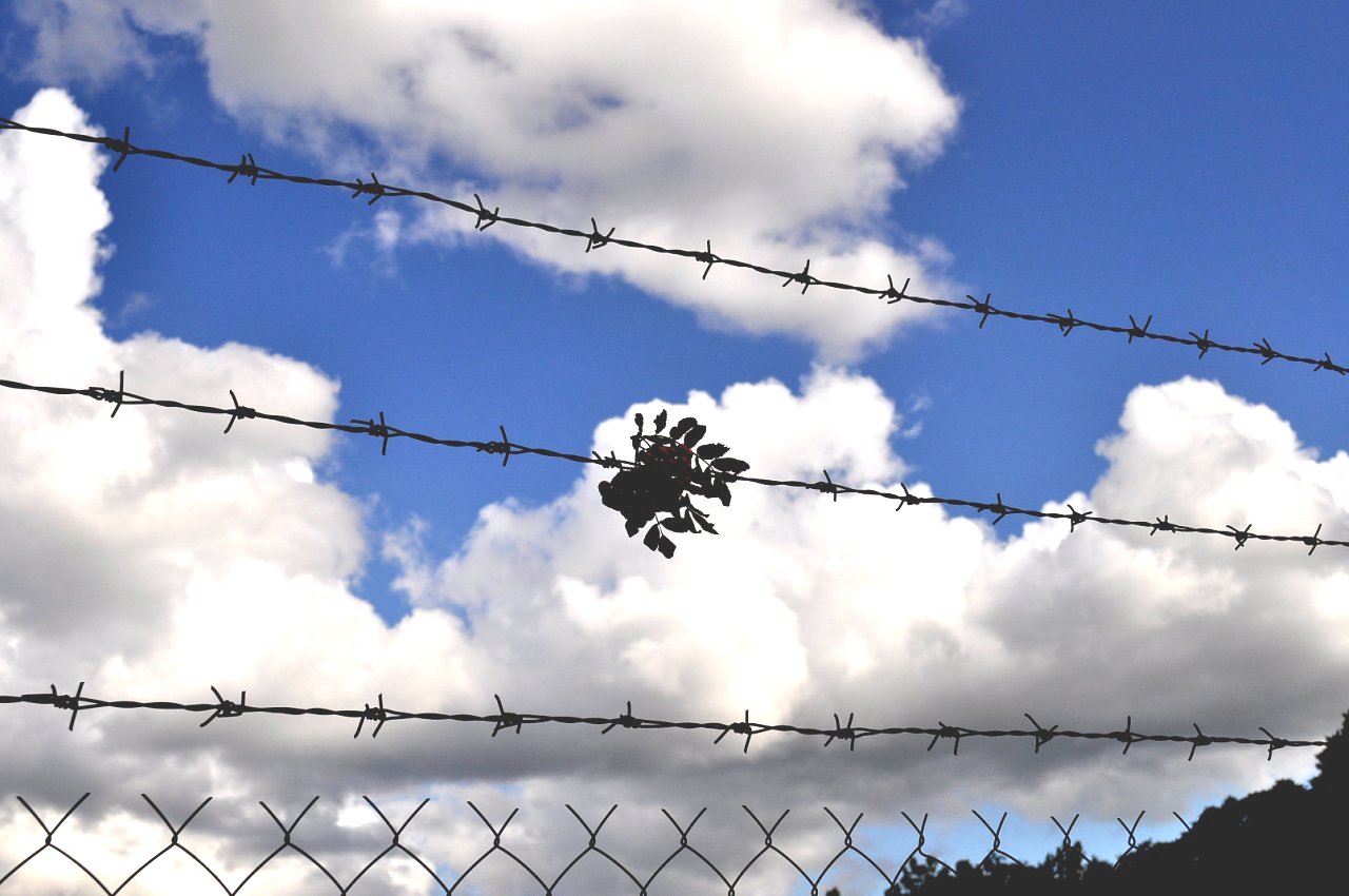 Auch die Freiheit der