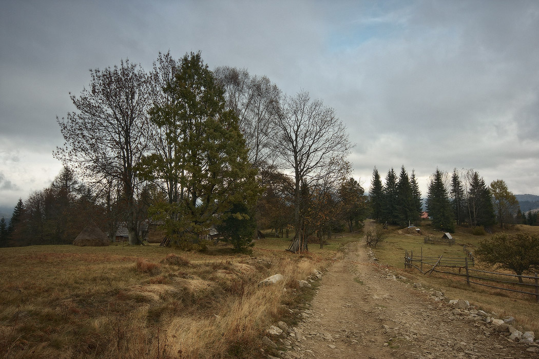 Karpaten Herbst Straße