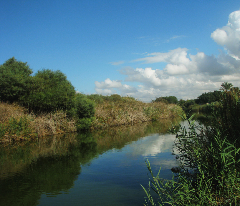 Solche unterschiedlichen Herbst ...