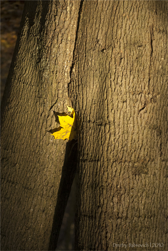 | * | Oder über die Herbst-Saison