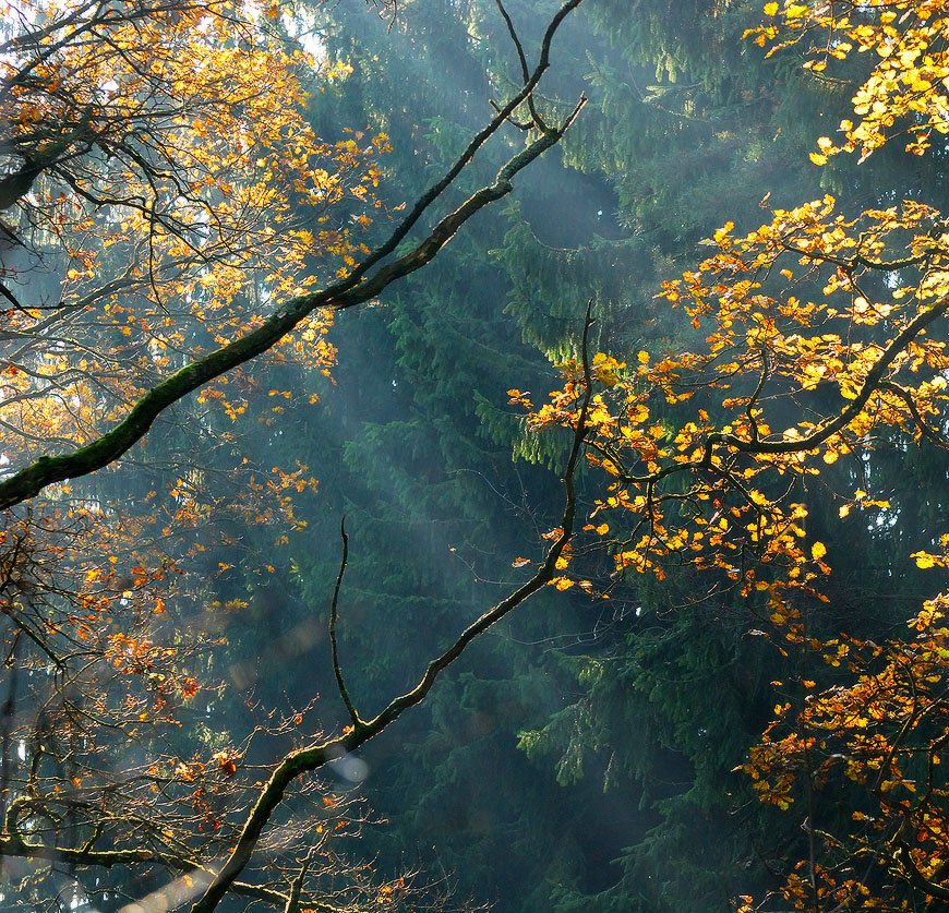 Der Ort, wo das Licht ....