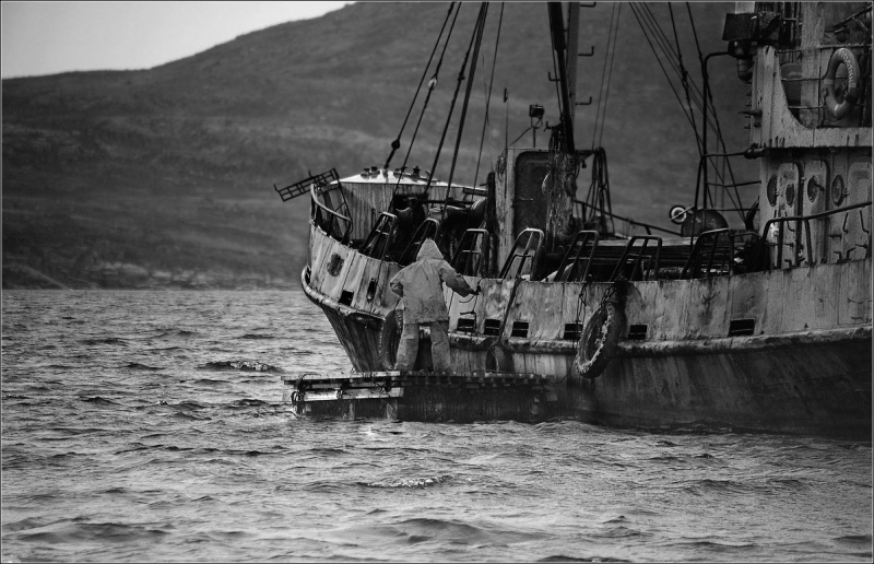 Schiff von Norden :-)