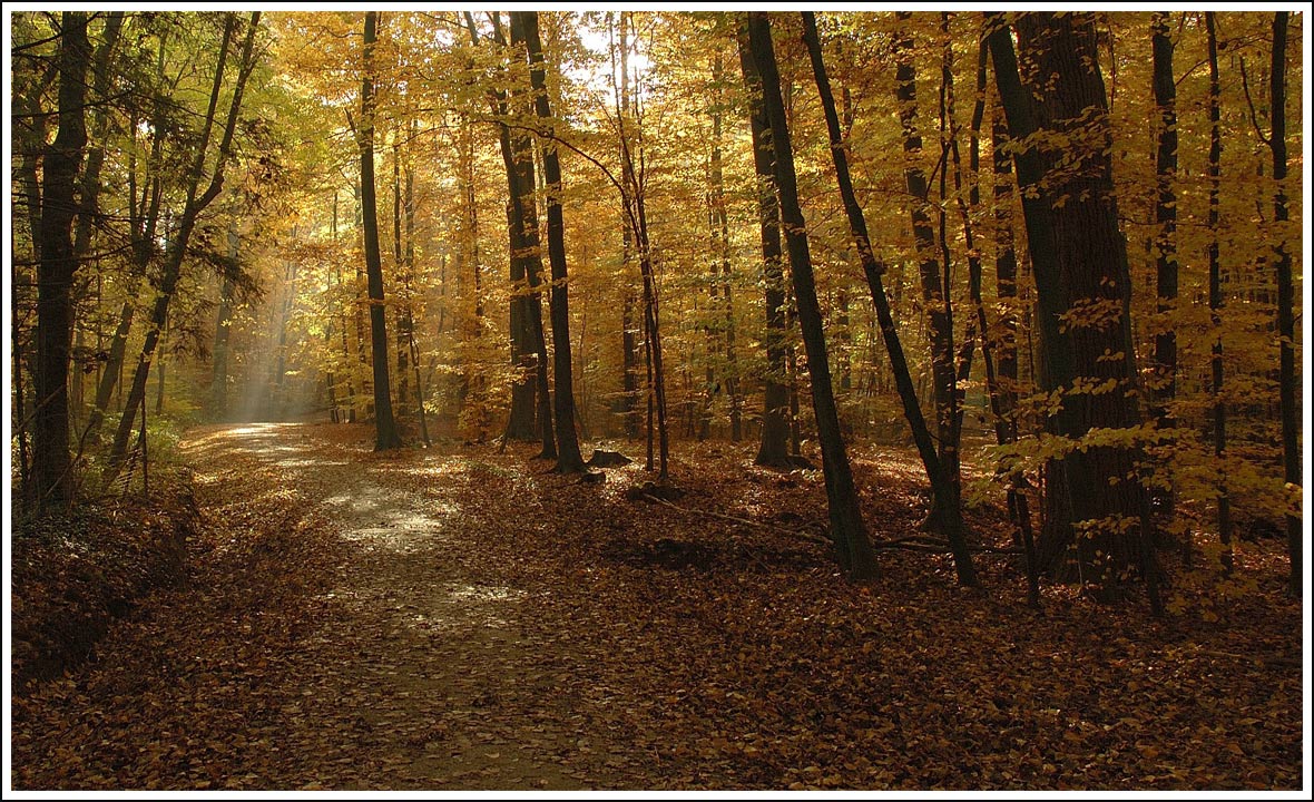 Erster Tag des Monats November