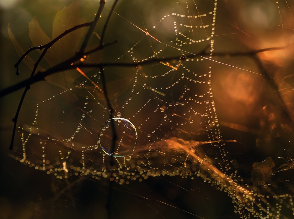 Herbst, eine fragile Traum-2 ...