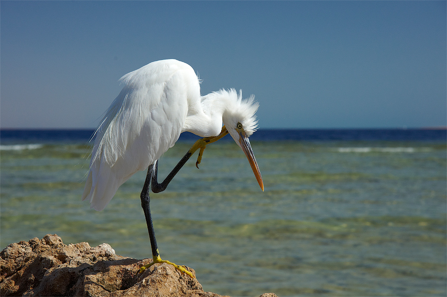 Sprich lauter, ich kann nicht hören