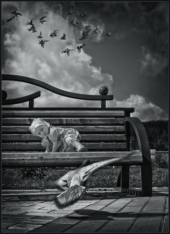 Nun setze mich an den Vogel und fliegt weg ...