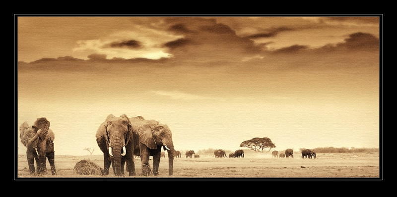 Inspiriert von Nick Brandt