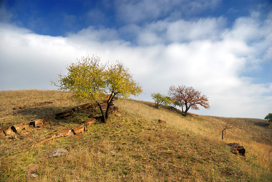 Über Steppe Fall # 2