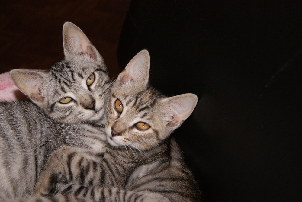 Ich liebe meine Natalie