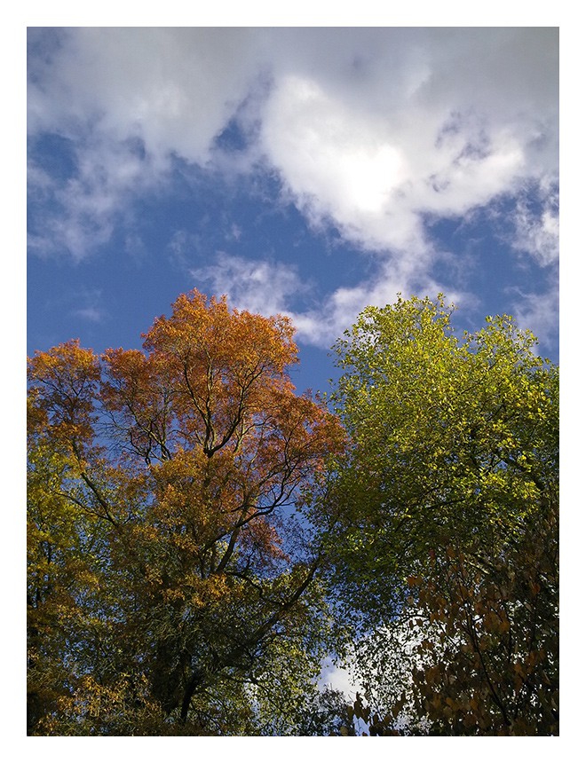 Letzter Tag der Herbst