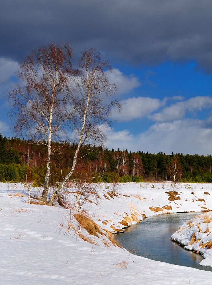 Frühling, Frühling ...