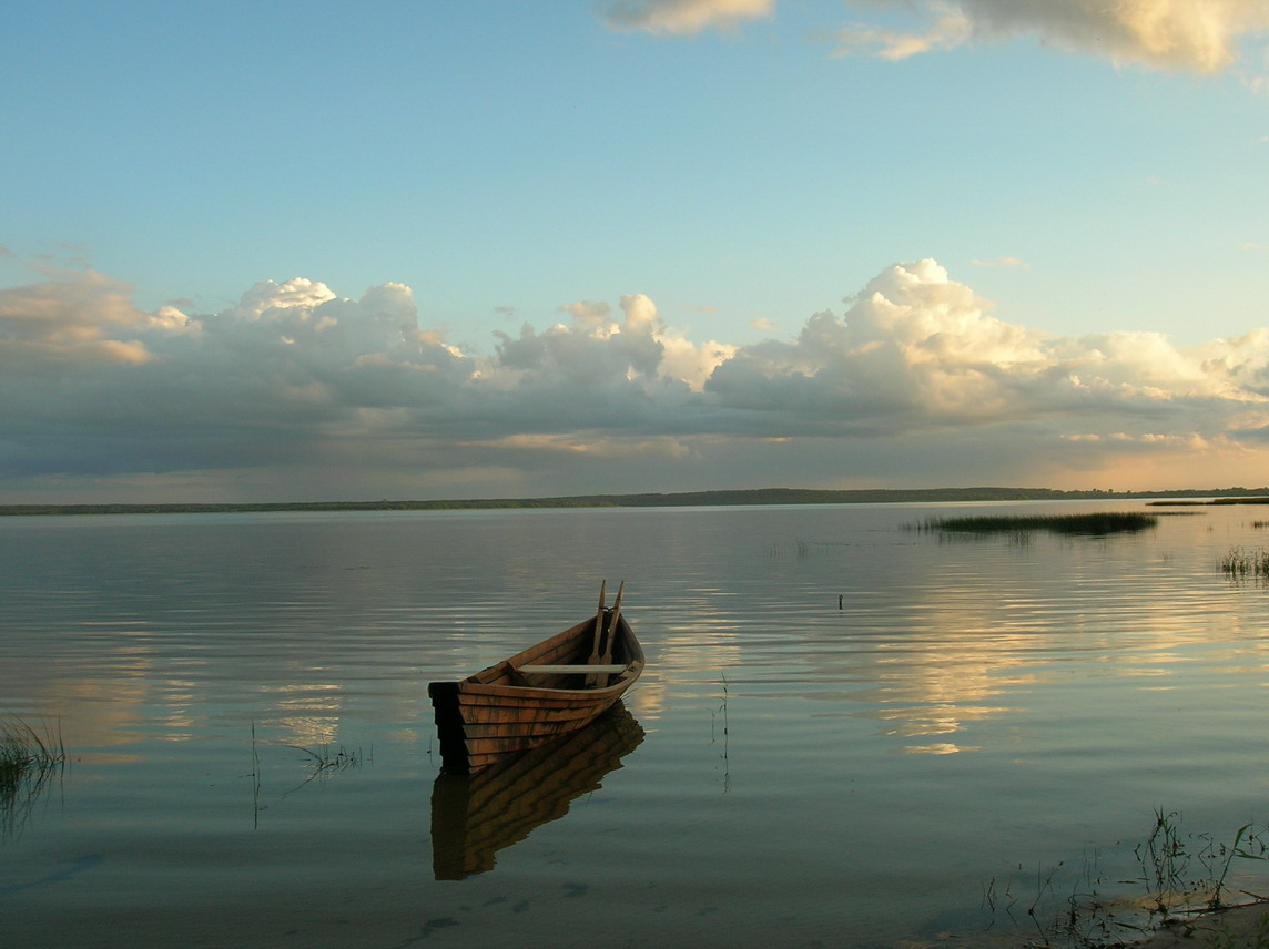 Favorite Boat Series 9876 Series ....