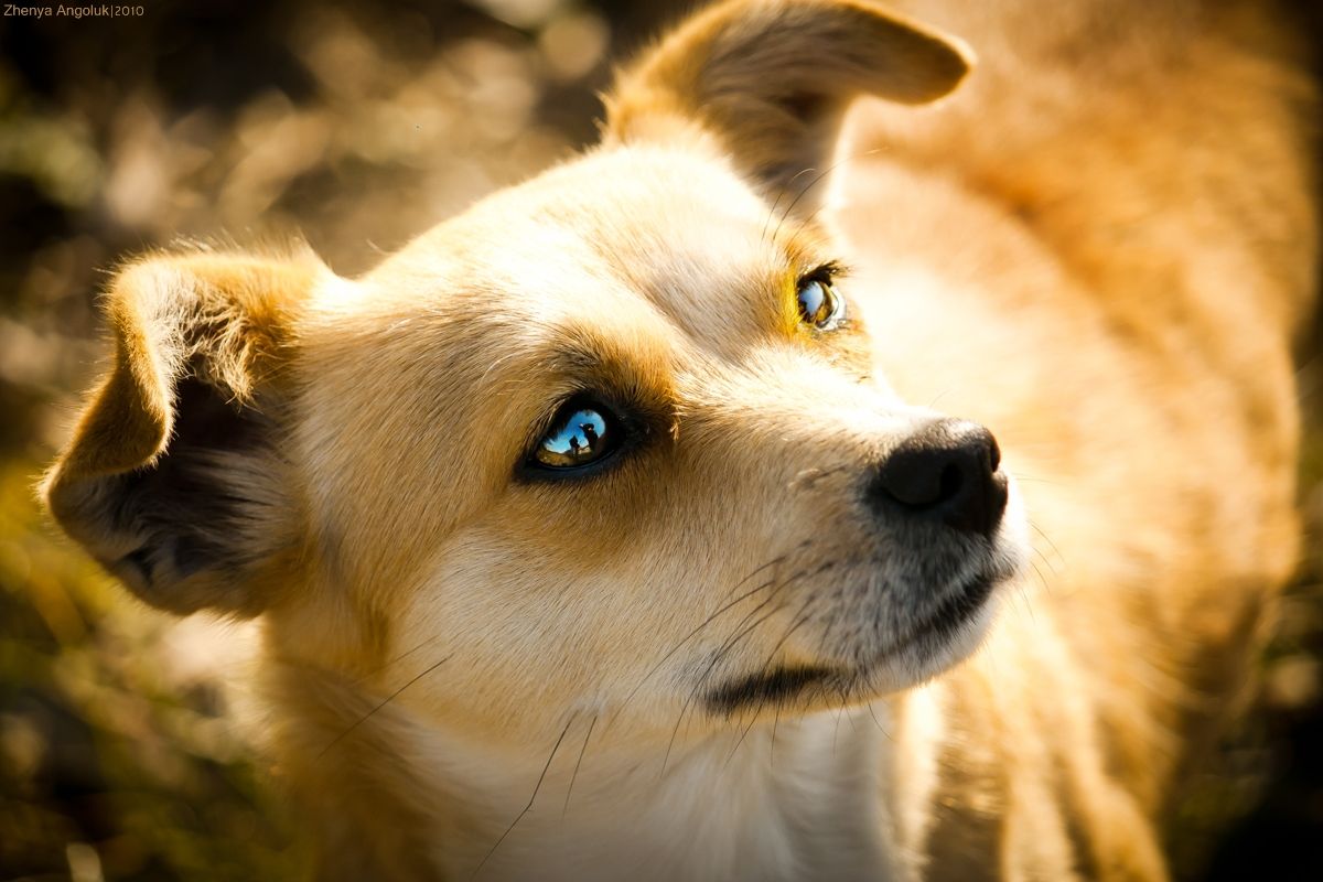 Und wir sind in ihren Augen