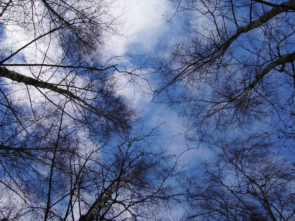 Heben Sie den Kopf eines Passanten.