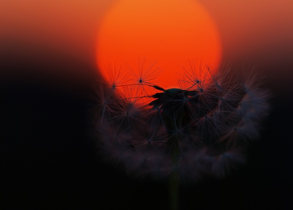 Dialog bei Sonnenuntergang ...