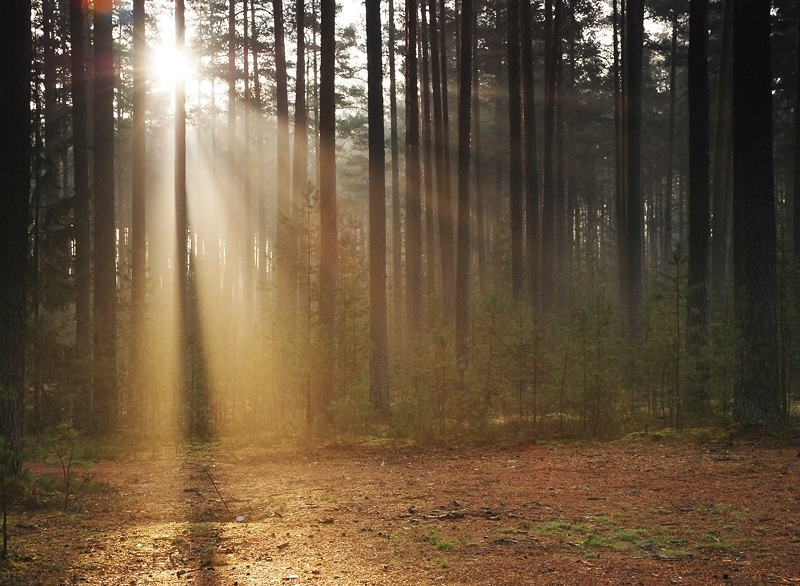 nicht mehr erhitzt № 2