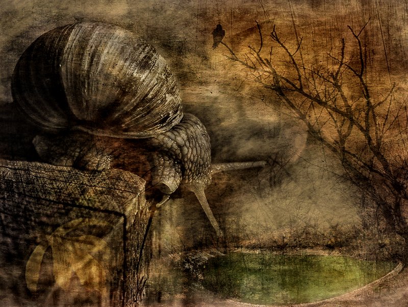 Dream of unerfüllten Träume ...