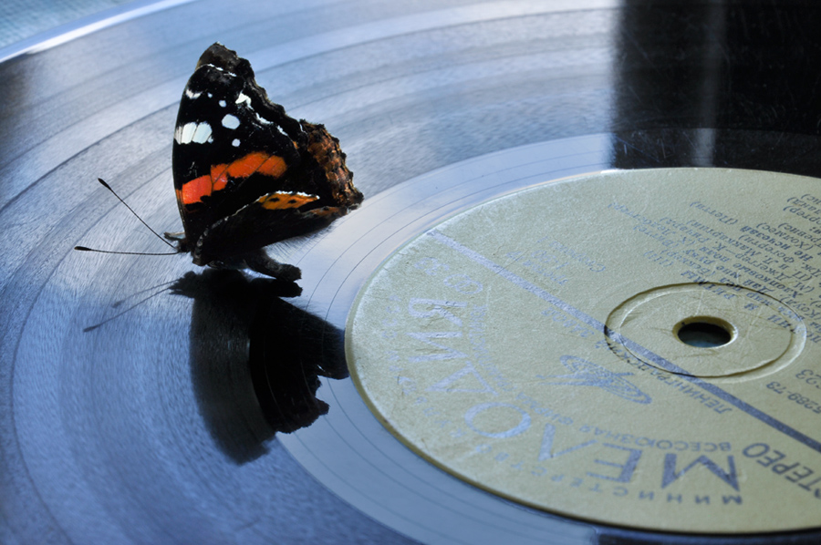 ... Und leise Musik ...