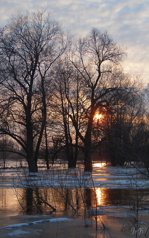 Die Ankunft des Frühlings