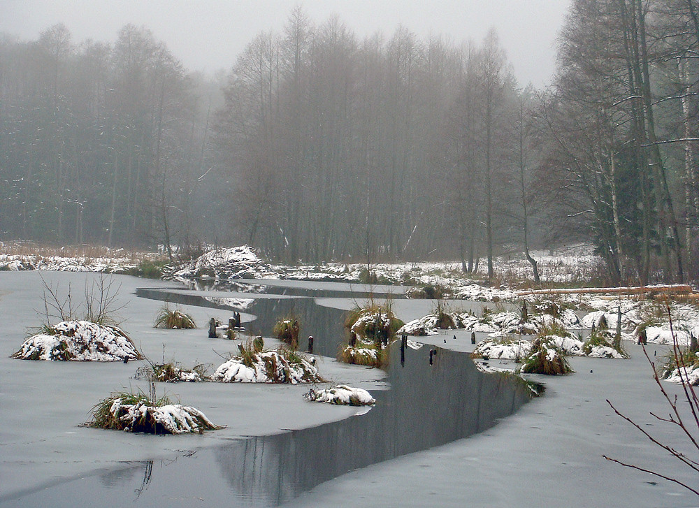 Breath of Winter ...