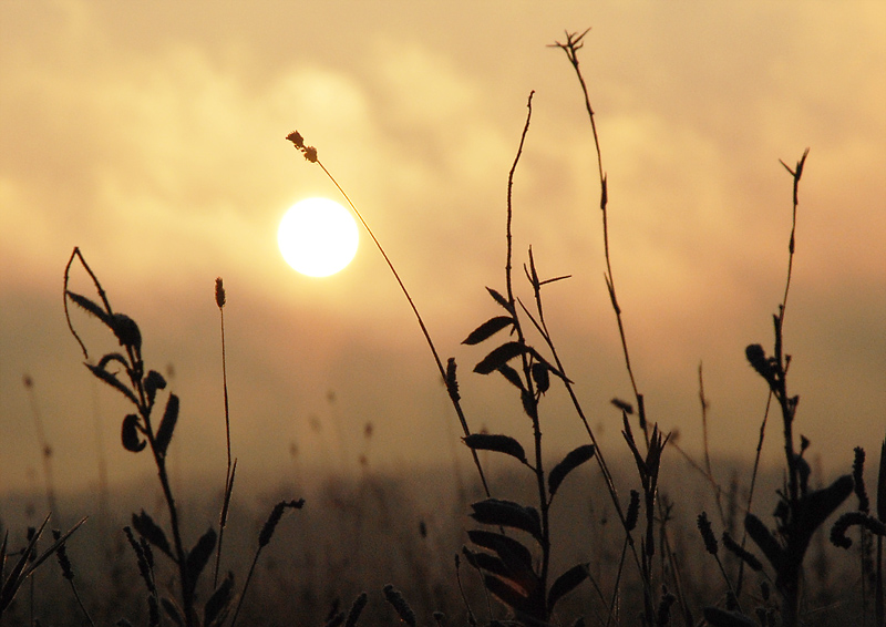 nicht mehr erhitzt № 3