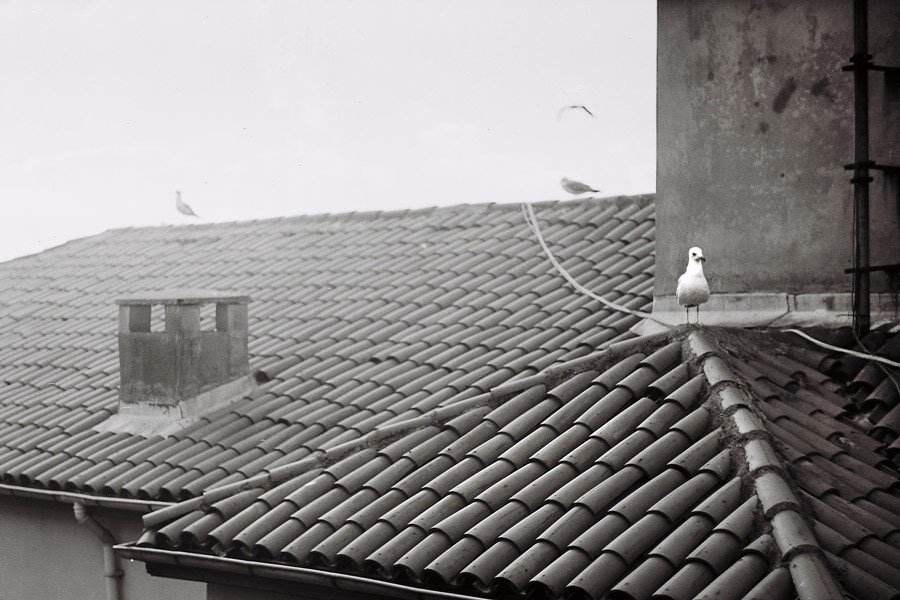 On the roofs of Istanbul...