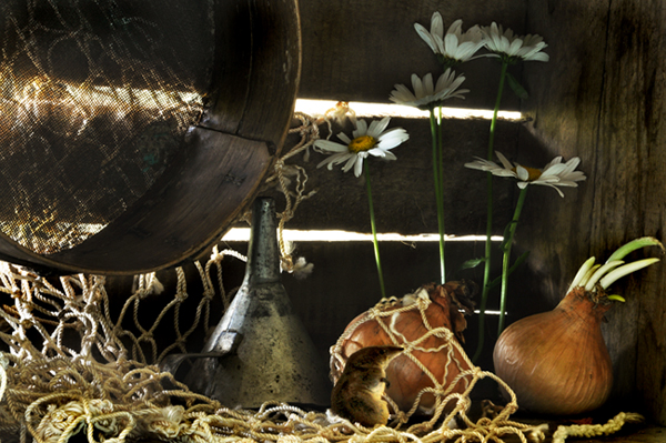 Wie interessant hier ...