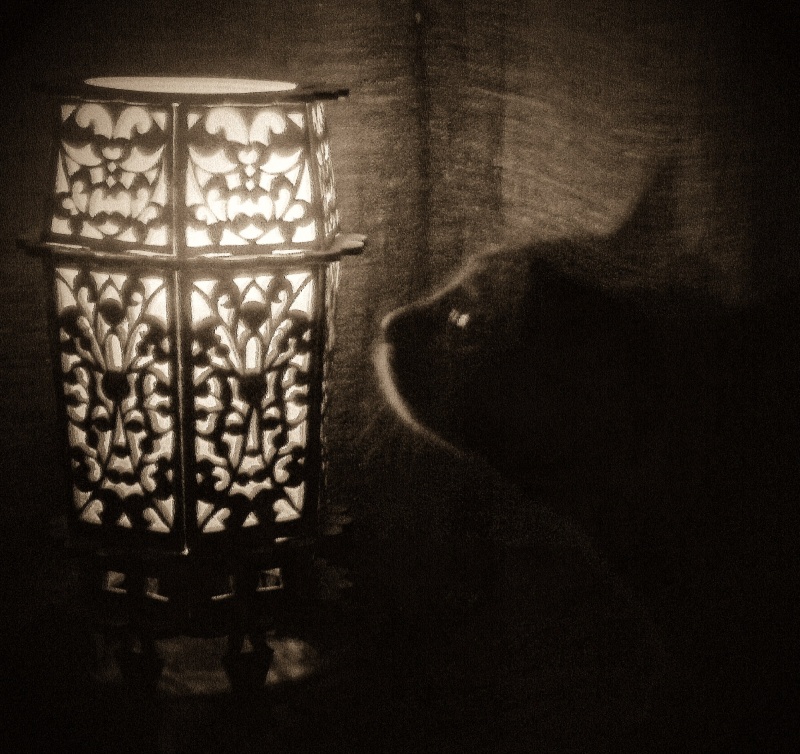 Die Suche nach Licht ...