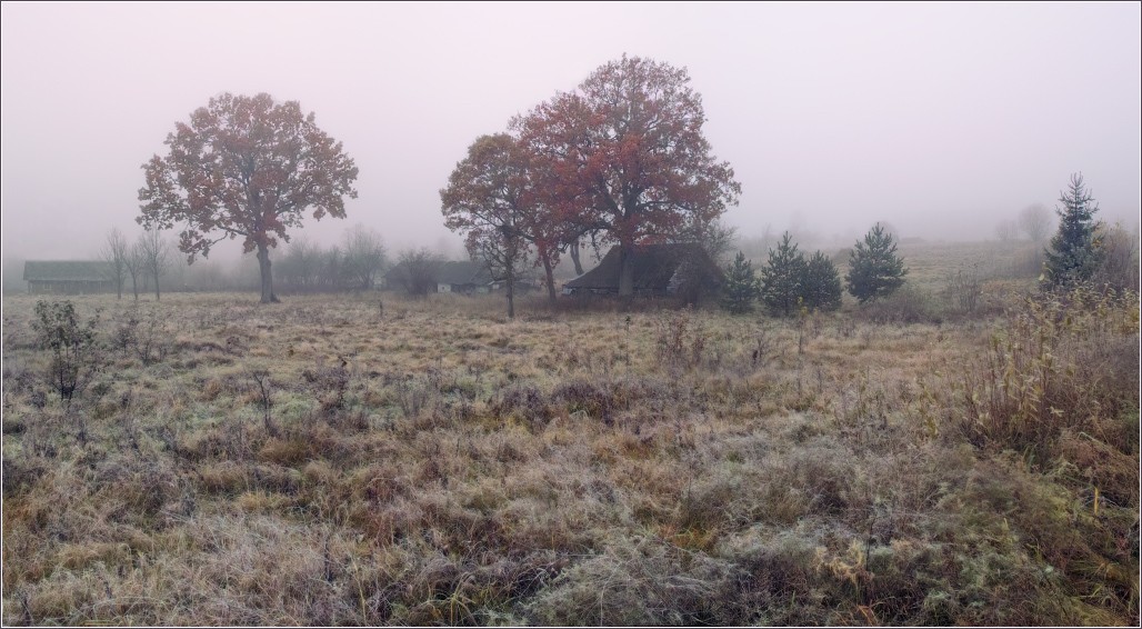 "Der Nebel des Herbstes dawn"