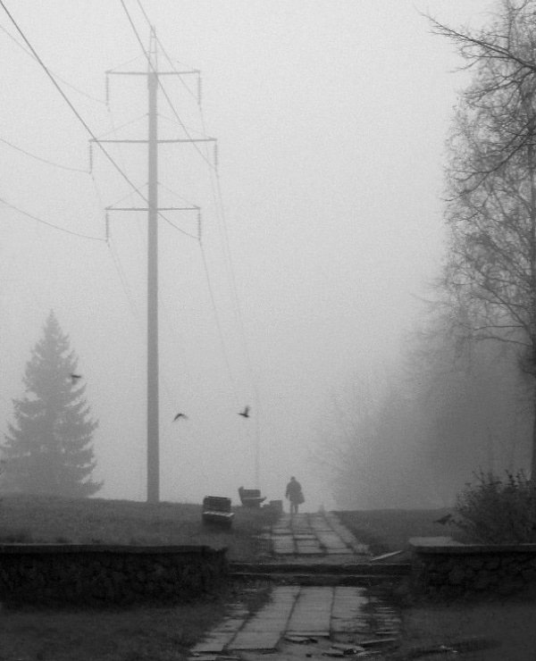 Nebligen Herbstmorgen ...