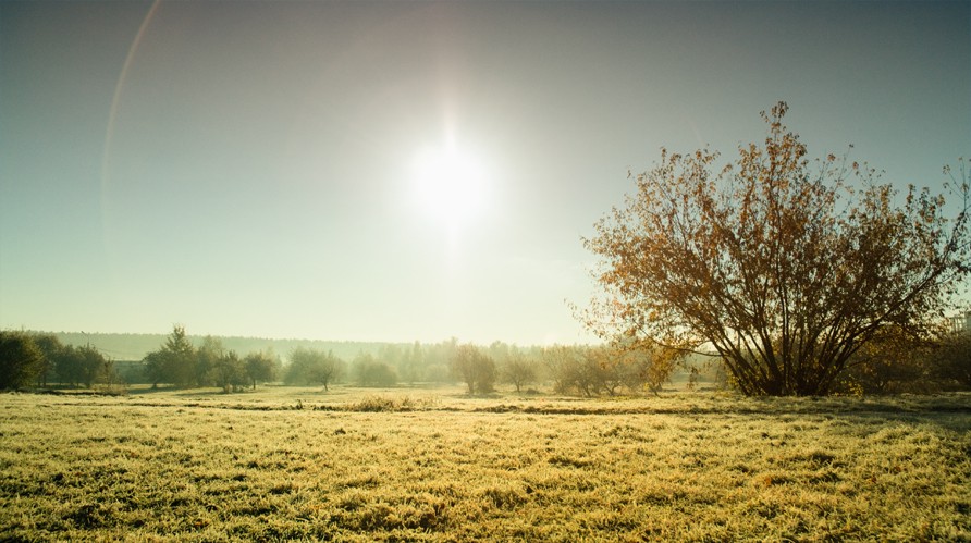 In den verlassenen Herbst