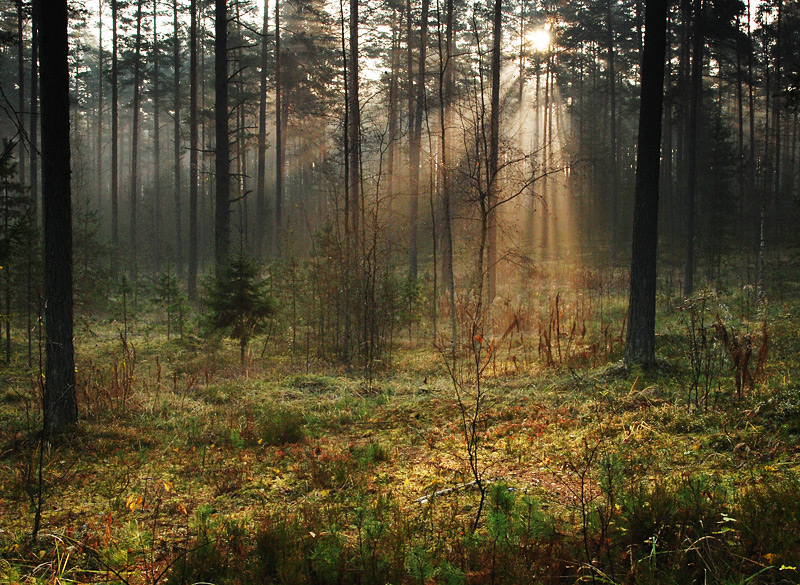 Es ist nicht warm № 4