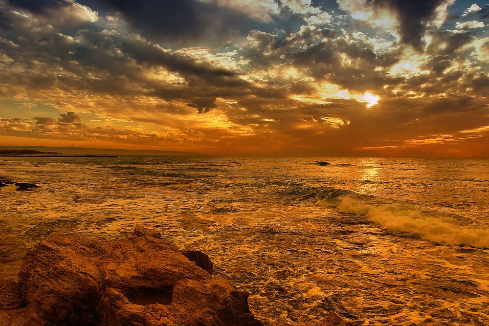 wieder auf Hochtouren ...