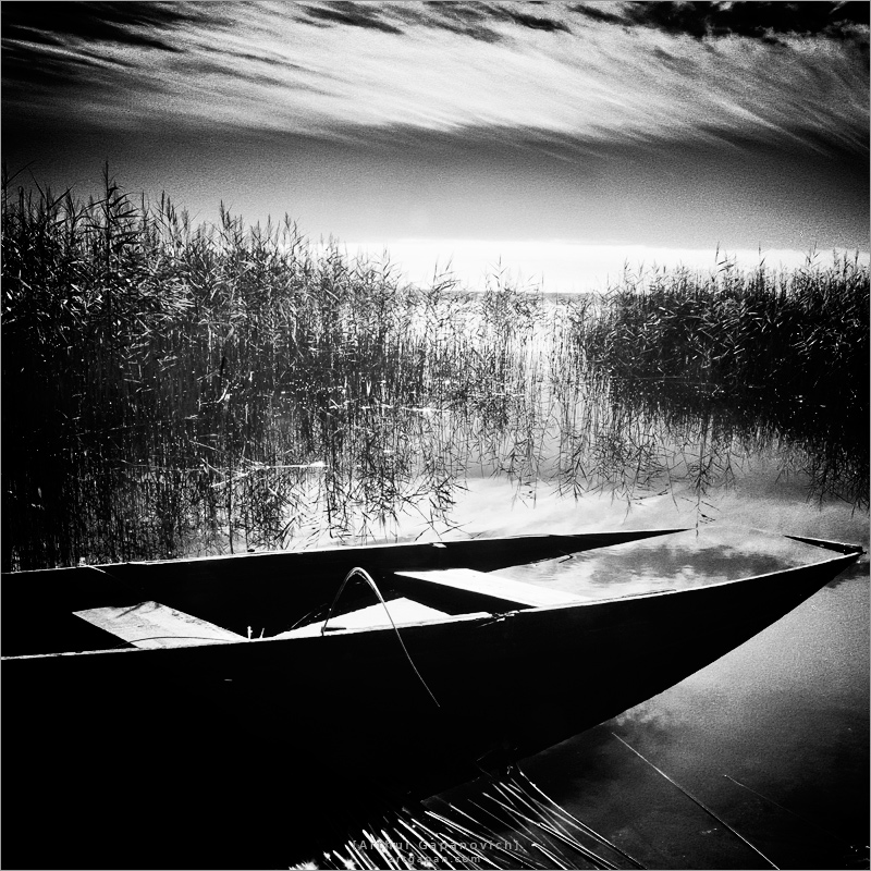 [ black and white theme ]