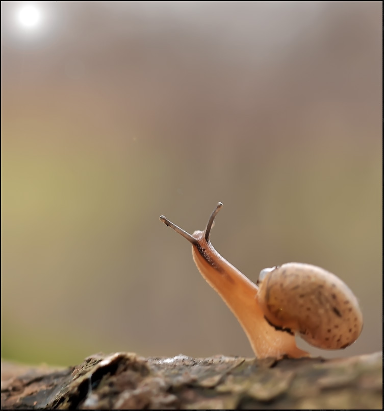 Regnerischen Herbst ..