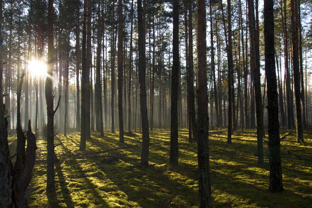 der letzte Herbst keuchen