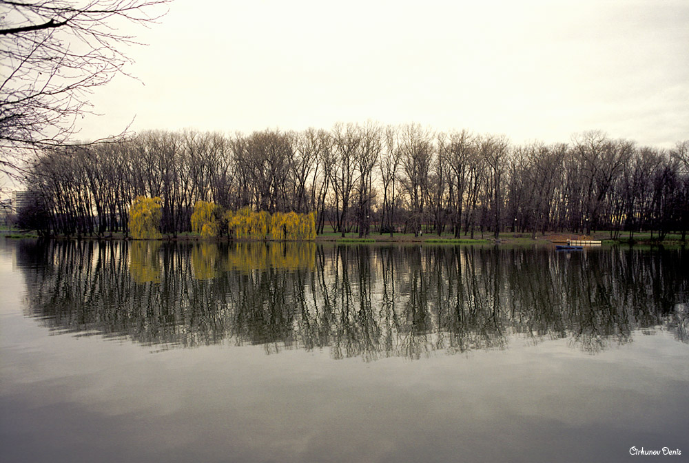 Reflexion des Herbstes