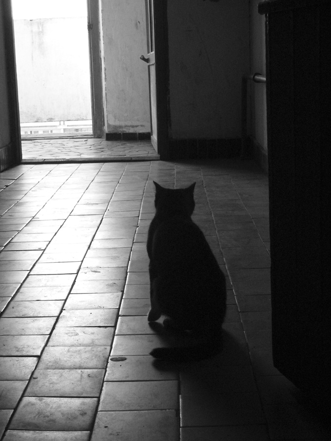 Der Weg ist frei ...