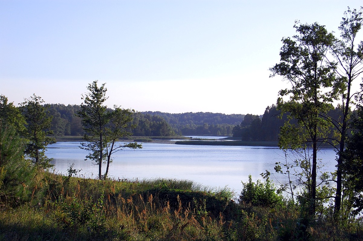Middle summer evening