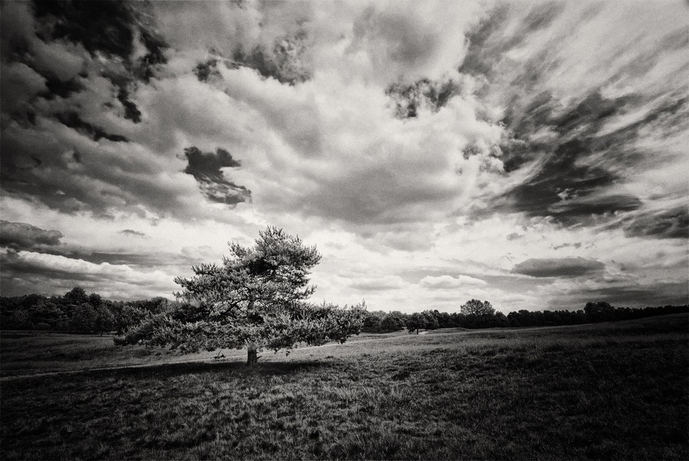 "Ich werde eine Wolke ich fliegen werde geworden ..."