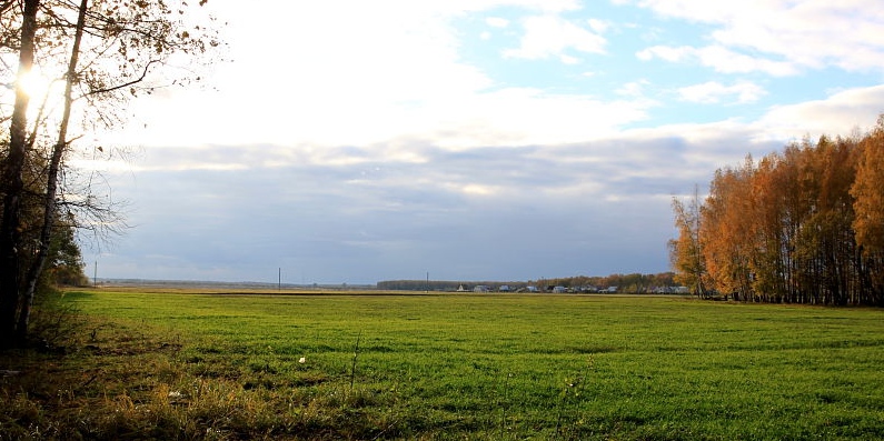 Herbst Sonne scheint immer noch