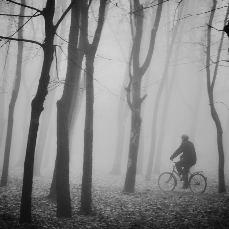 Fahrt durch den Nebel