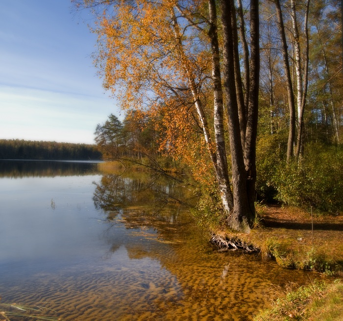 Ein weiterer Herbst ...